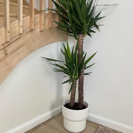 L Appartement Sete Magnifique Duplex Climatise Eksteriør bilde