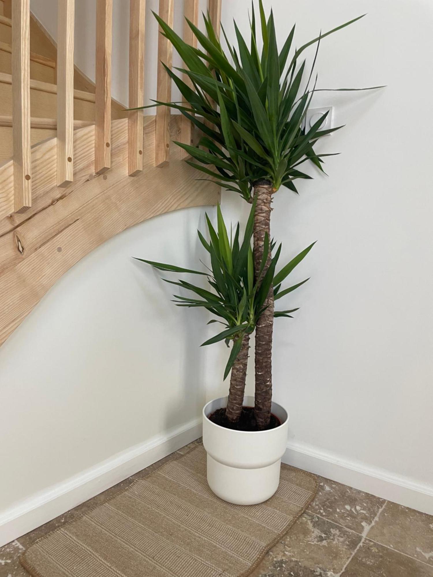 L Appartement Sete Magnifique Duplex Climatise Eksteriør bilde